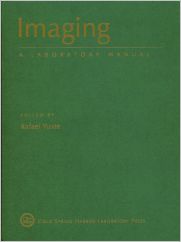 2151392